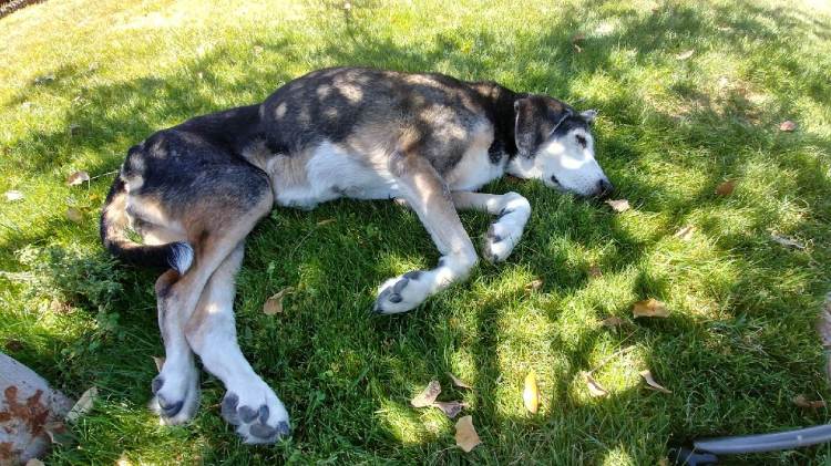 20180522_114829_HDR1